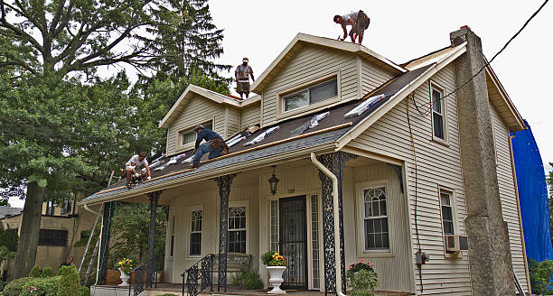 Best Roof Gutter Cleaning  in Union Mill, VA